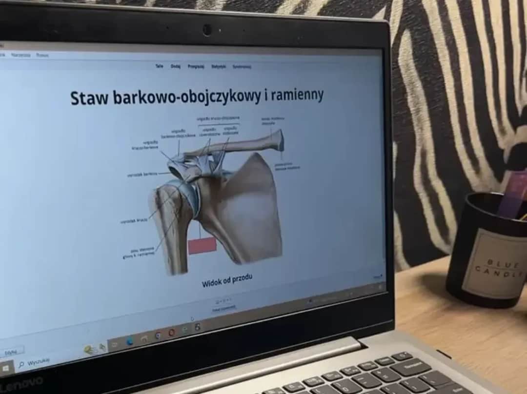 Jak uczyć się anatomii? Skuteczne metody i narzędzia dla studentów