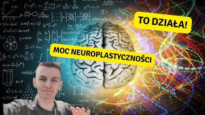 Jak uczy się mózg? Neuroplastyczność i sekrety efektywnej nauki