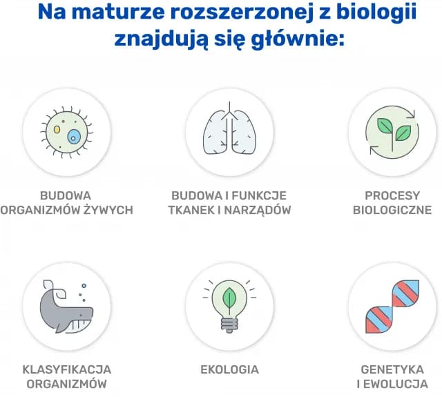 Matura z biologii 2026: Skuteczny plan nauki i klucz do wysokiego wyniku