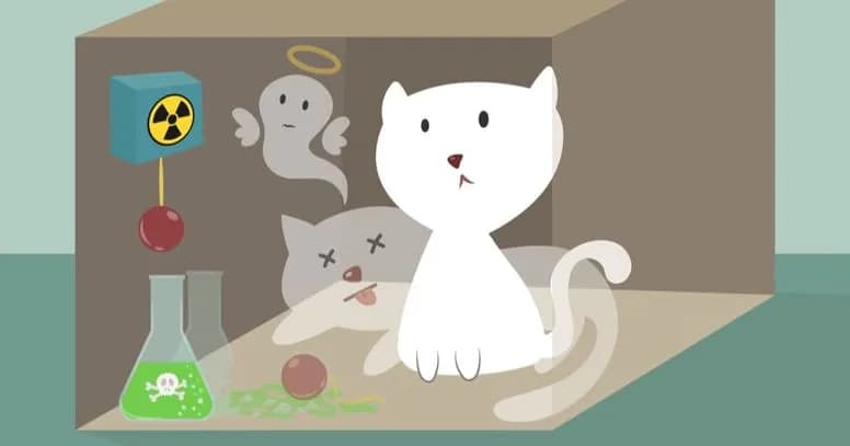 Kot Schrödingera: Czy kot jest żywy i martwy? Wyjaśniamy!